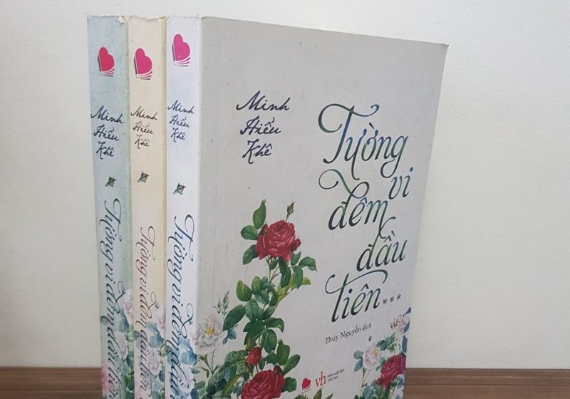 minh-hieu-khe-kham-pha-the-gioi-ngon-tinh-voi-nhung-tieu-thuyet-day-cam-xuc-truyenchuhay-vn-1-3