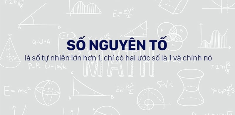 so-nguyen-to-kham-pha-the-gioi-so-hoan-hao-tu-co-ban-den-ung-dung-truyenchuhay-vn-1-1
